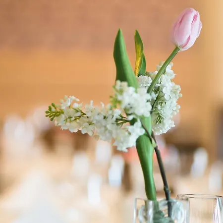 An Der Oper Chemnitz