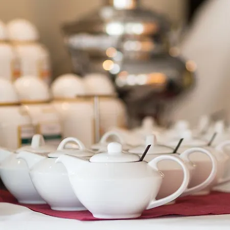 酒店 歌剧酒店 开姆尼茨