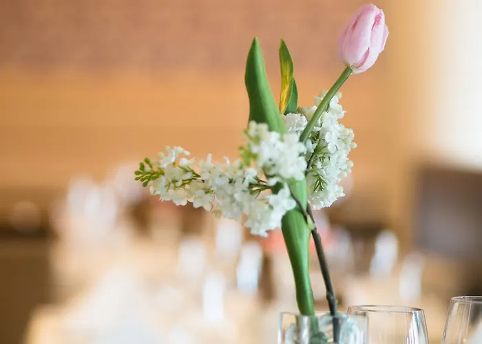 An Der Oper شيمنيتز