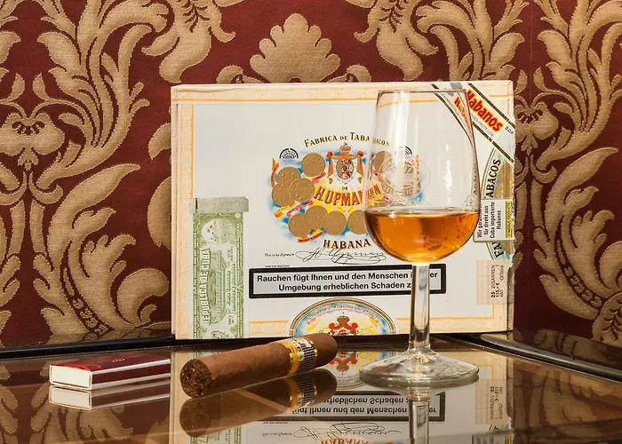 An Der Oper شيمنيتز